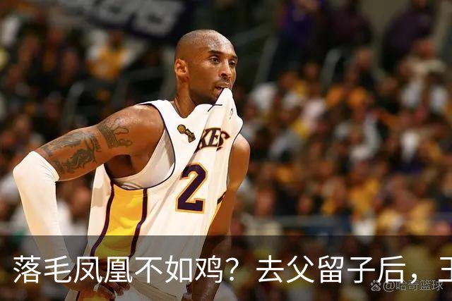 落毛凤凰不如鸡？去父留子后，王鸥回应无戏可拍，坦言走上另一条路